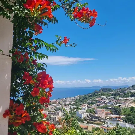 Casa Michelangela Holistic Bio